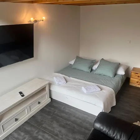 Loft Lumineux Et Confortable Daire Grimisuat