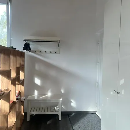 Loft Lumineux Et Confortable Grimisuat