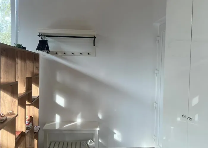 Loft Lumineux Et Confortable Grimisuat