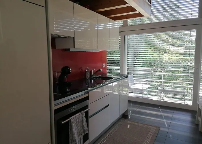 Loft Lumineux Et Confortable Διαμέρισμα Grimisuat
